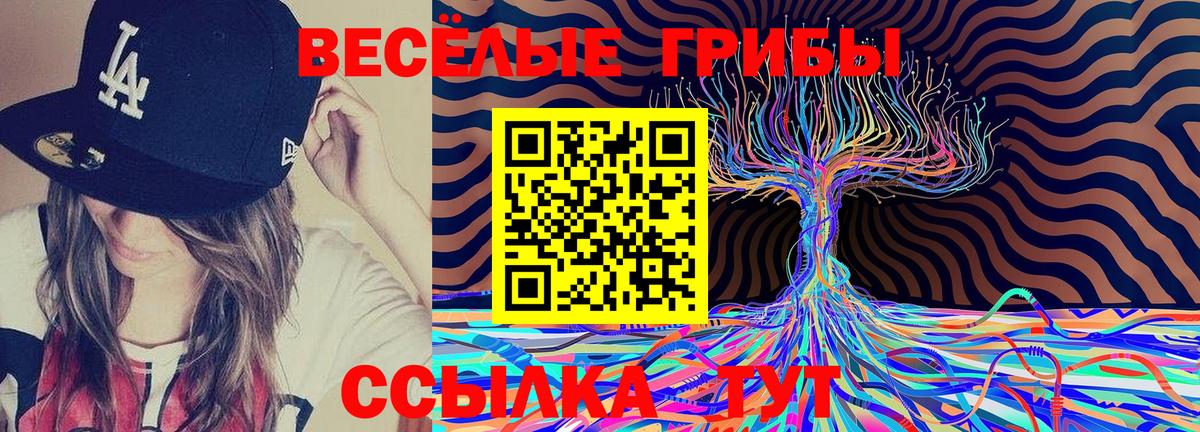 Кандалакша  наркотики  Вход с VPN  Псилоцибиновые грибы прущие грибы 