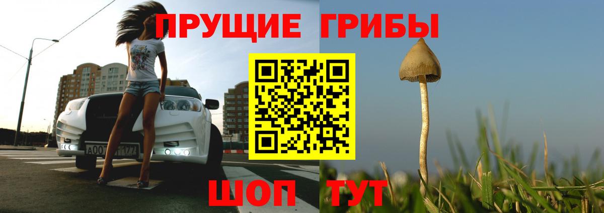 Галлюциногенные грибы ЛСД Кандалакша
