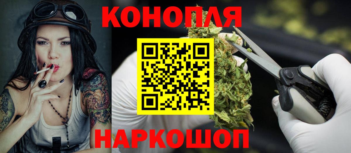 Бошки Шишки планчик Кандалакша